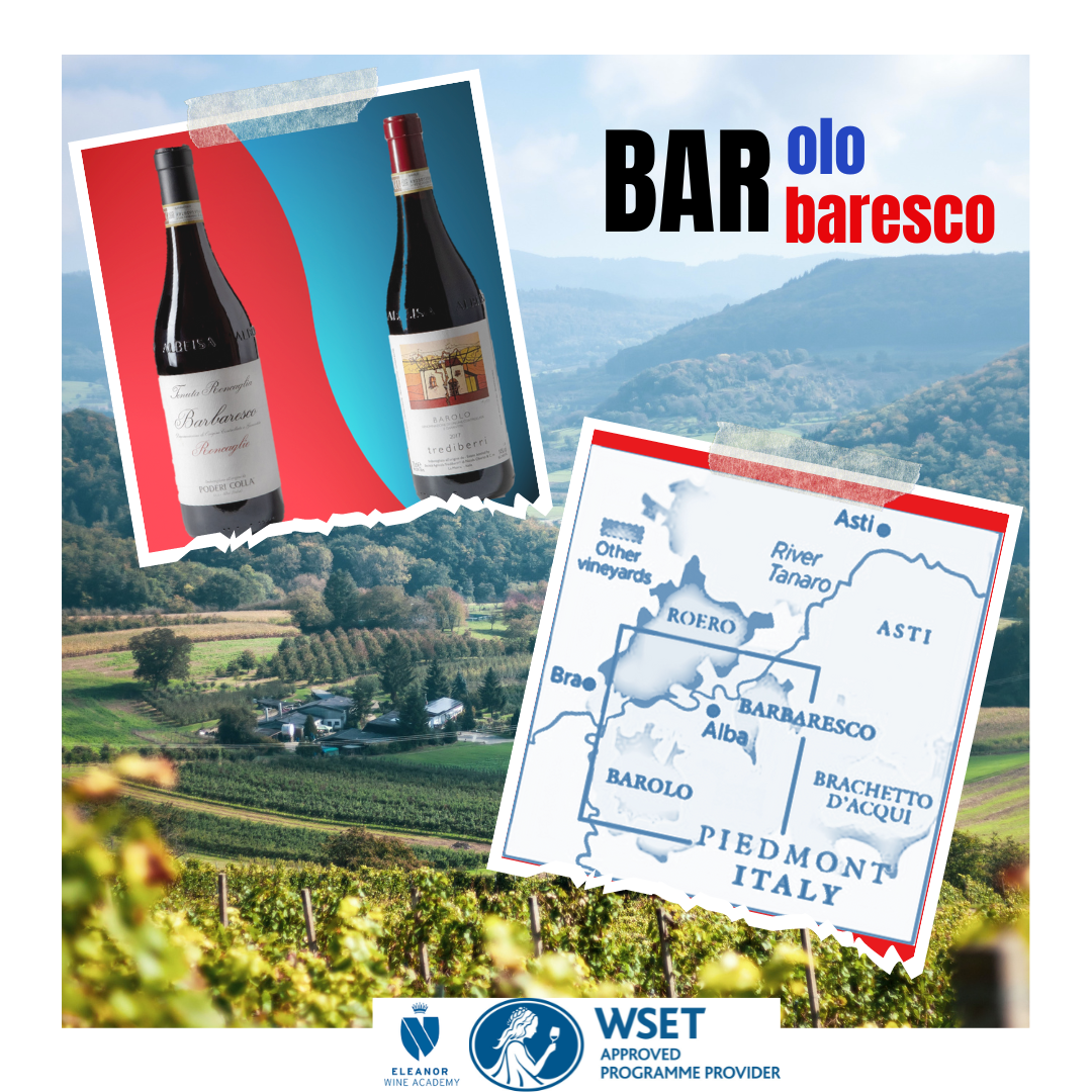 💥🍇Barolo VS Barbaresco 💥🍇 Eleanor Wine Academy