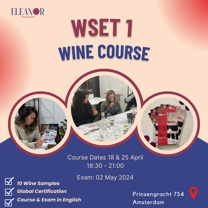 Wine course for beginner