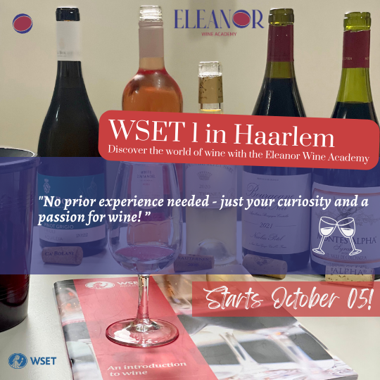Enroll in our WSET Level 1 Wine Course in Haarlem Eleanor Wine Academy