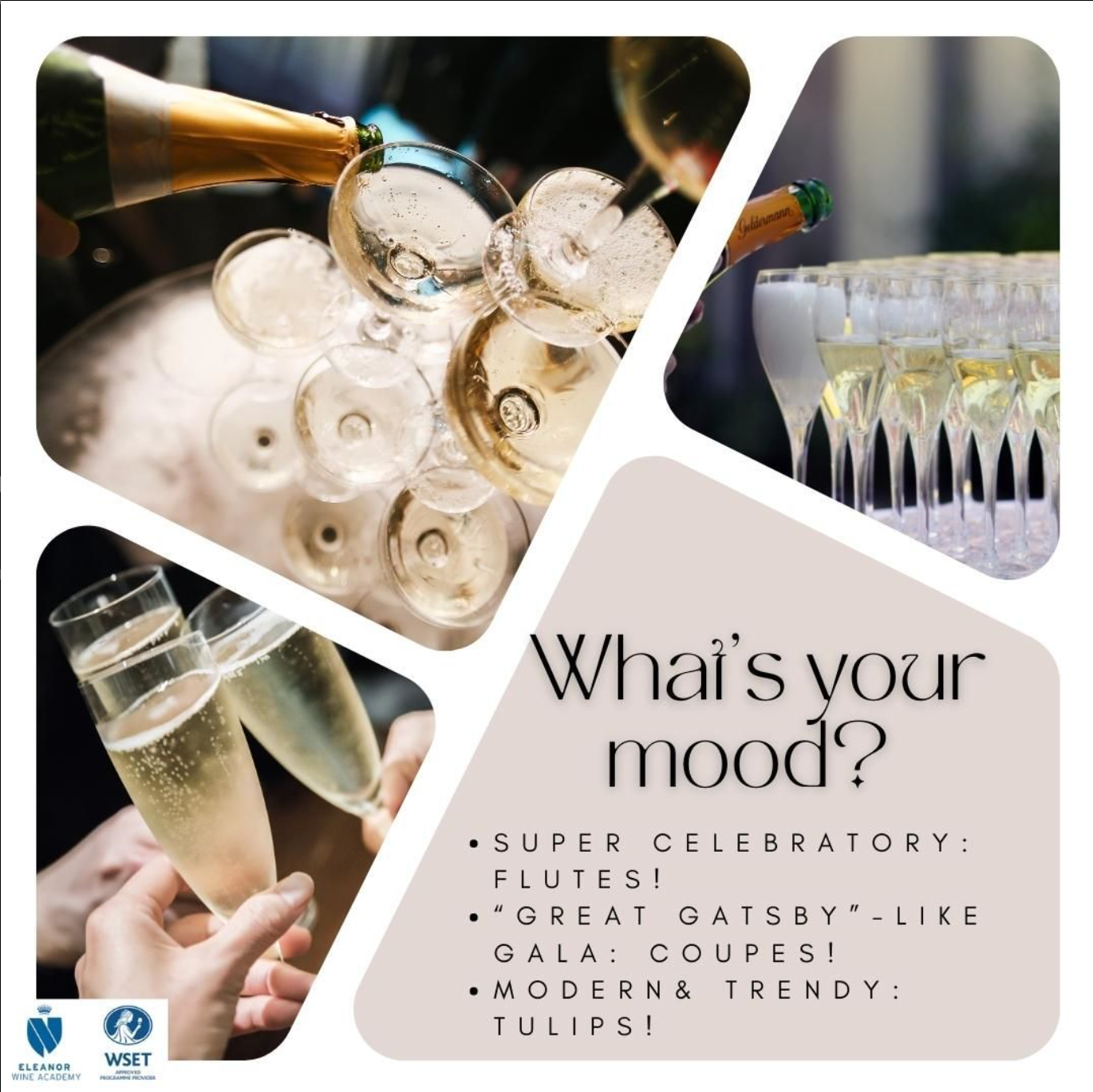 What's the best glass for Sparkling Wines?🥂 Eleanor Wine Academy