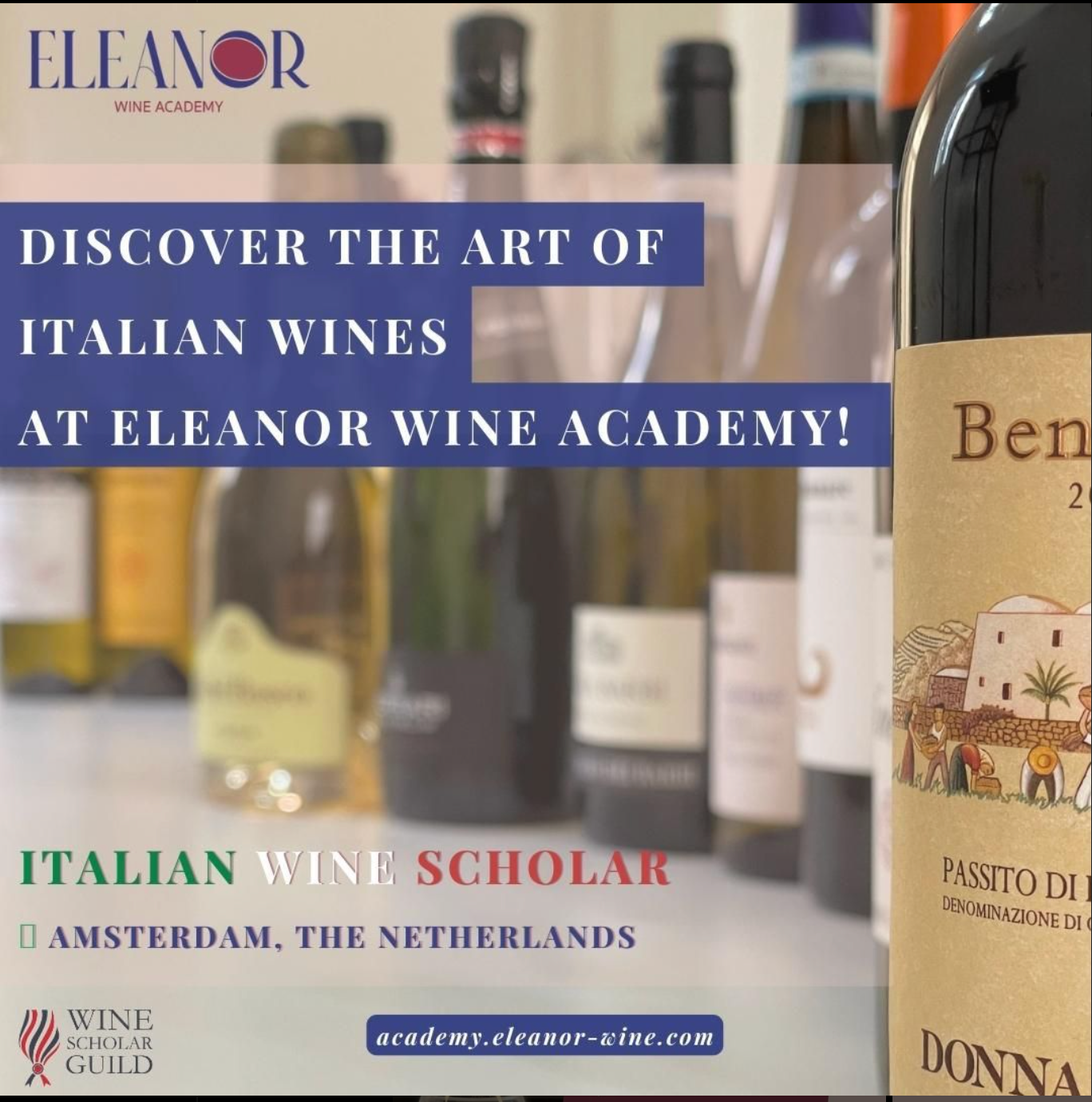Unlock the Beauty of Italian Wine Eleanor Wine Academy Amsterdam