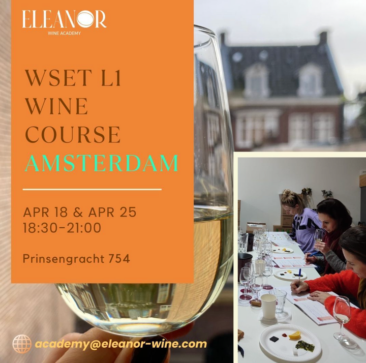 Wine course Amsterdam