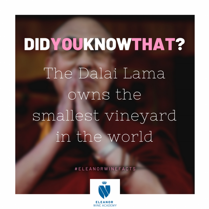 Did you know that ? The Dalai Lama owns the smallest vineyard in the world