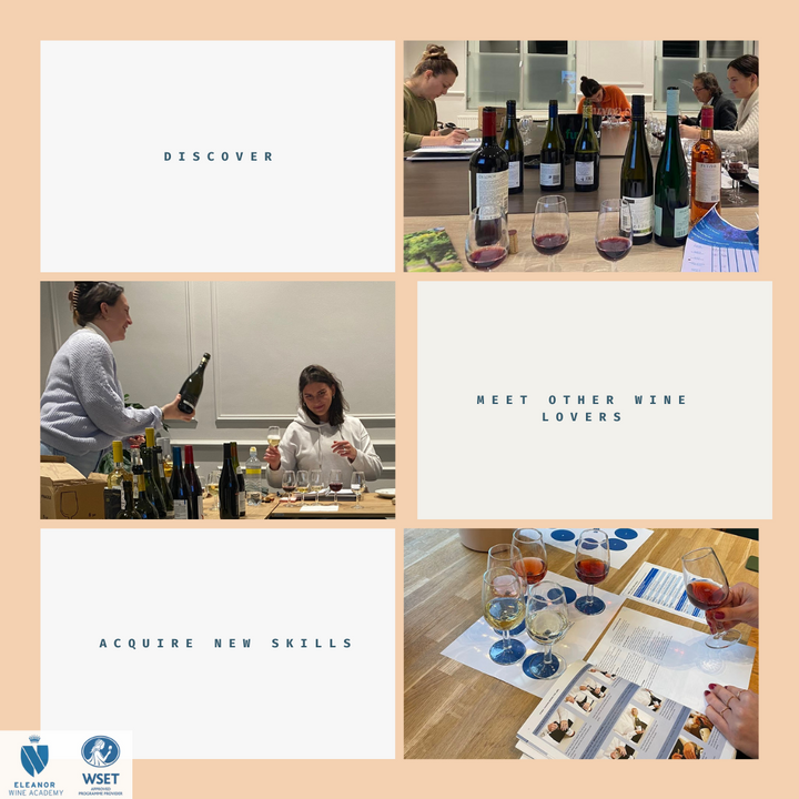 WSET L2 Wines The Hague in English