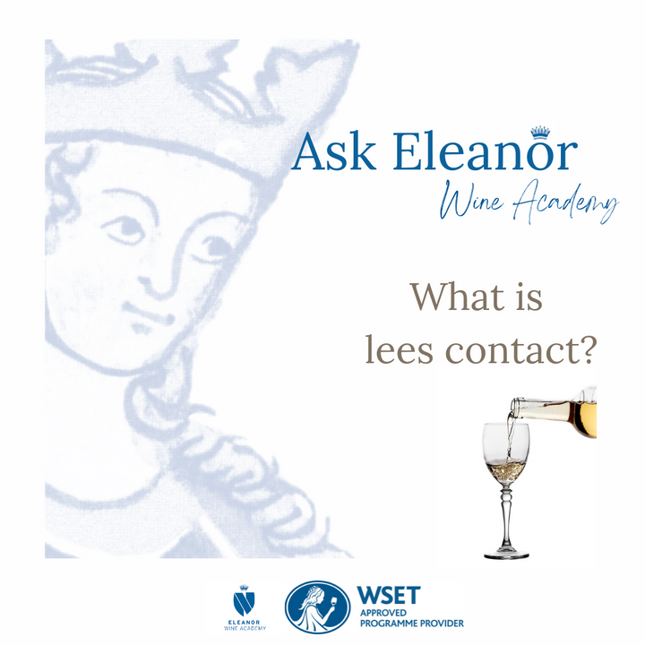 Ask Eleanor Wine Academy!🥂