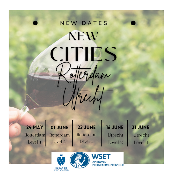 NEW CITIES ✨ NEW COURSES