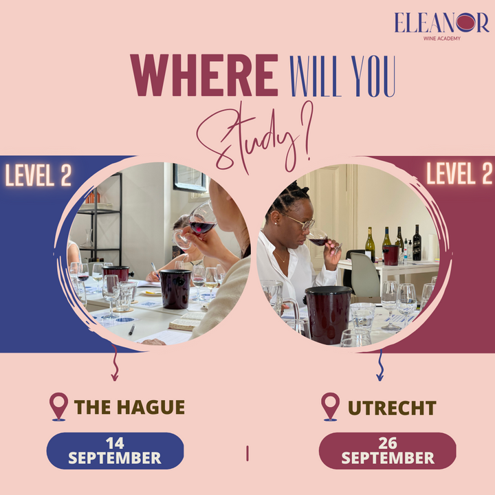 "🍇📚 Choose Your Path: WSET L2 in Utrecht or The Hague this September!"