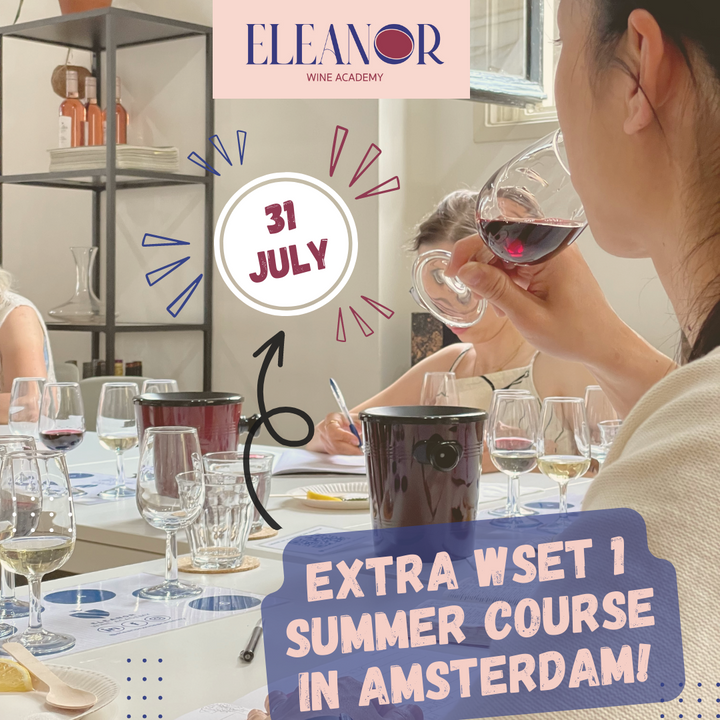 Join Our Exclusive WSET1 Award in Wines Course in Amsterdam | July 31st