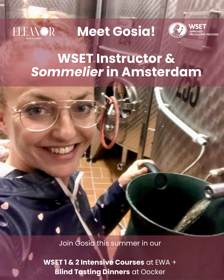Gosia, WSET instructor and sommelier, leading a wine course and tasting class at Oocker Wine Bar in Amsterdam.