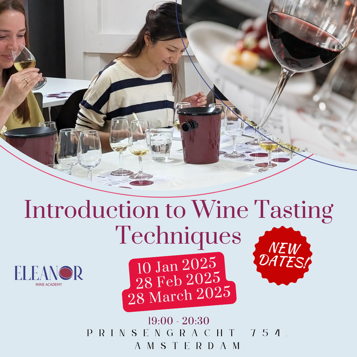 Sip, Swirl, Savor: Fun Wine Tasting Workshops in Amsterdam for 2025! 🍷