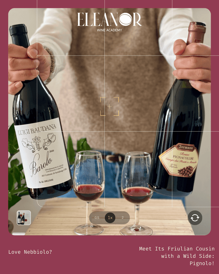 Nebbiolo Fans, Meet Pignolo: Friuli’s Bold Native Grape with a Wild Streak