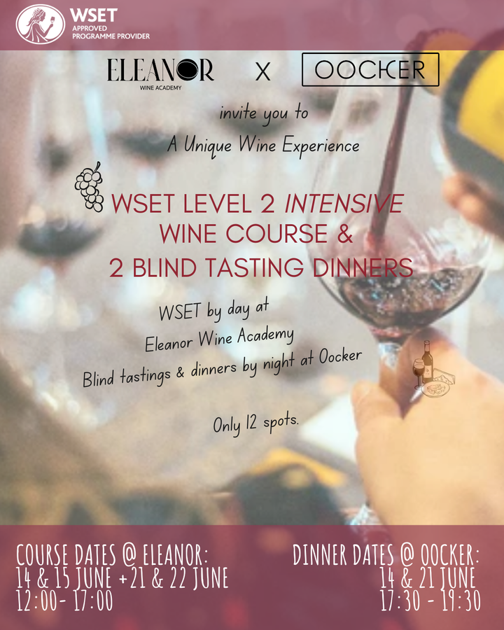 The Ultimate WSET Level 2 Wine Course Experience in Amsterdam – June 2025