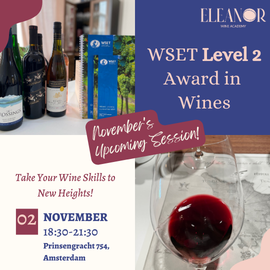 Eleanor Wine Academy Amsterdam | November WSET Level 2 Wine Course 🍷