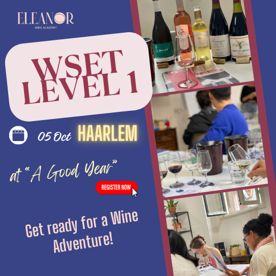 Join us for a Wine Adventure in Haarlem! 🇳🇱✨