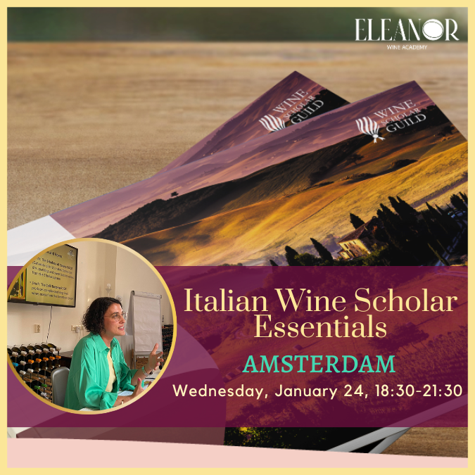 Drink Italian Wine, Course Amsterdam