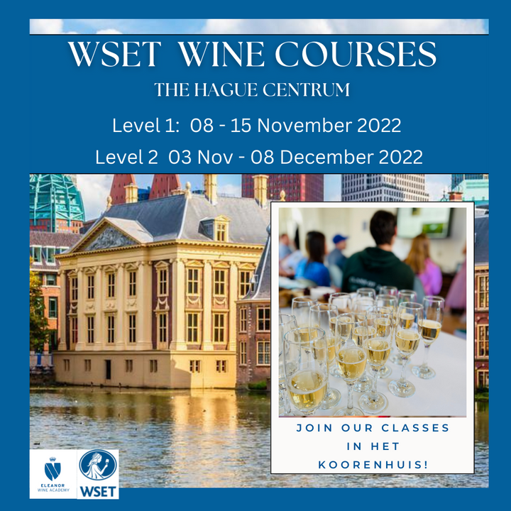 WSET Wine courses- What will you learn?