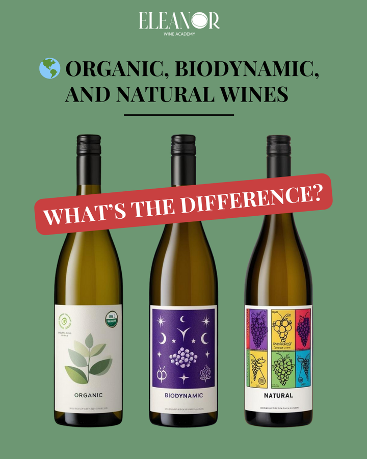 Organic, Biodynamic, and Natural wines, highlighting differences in winemaking practices, sustainability, and fermentation methods. Learn more at Eleanor Wine Academy, offering WSET courses and wine workshops in Amsterdam, The Hague, and Utrecht.