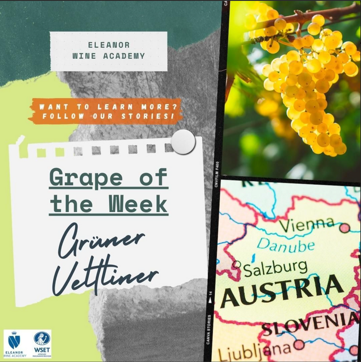 Grape of the week: Grüner Veltliner 🥂