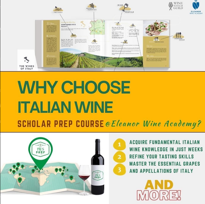 Italian Wine Scholar Prep in English in Amsterdam