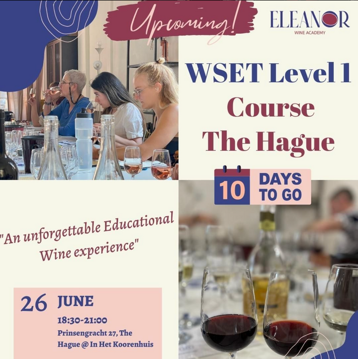 WSET 1 in The Hague: June 26th