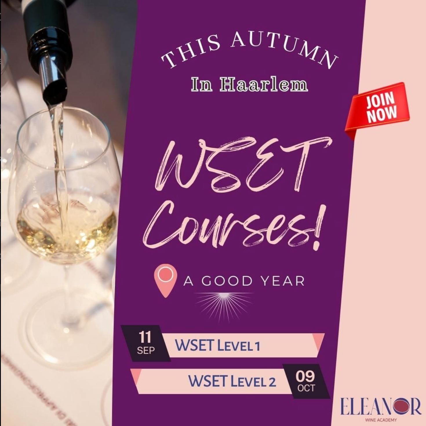 Explore the World of Wine in Haarlem Join Eleanor Wine Academy's