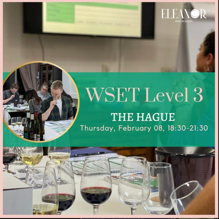 WSET 3 in English-The Hague