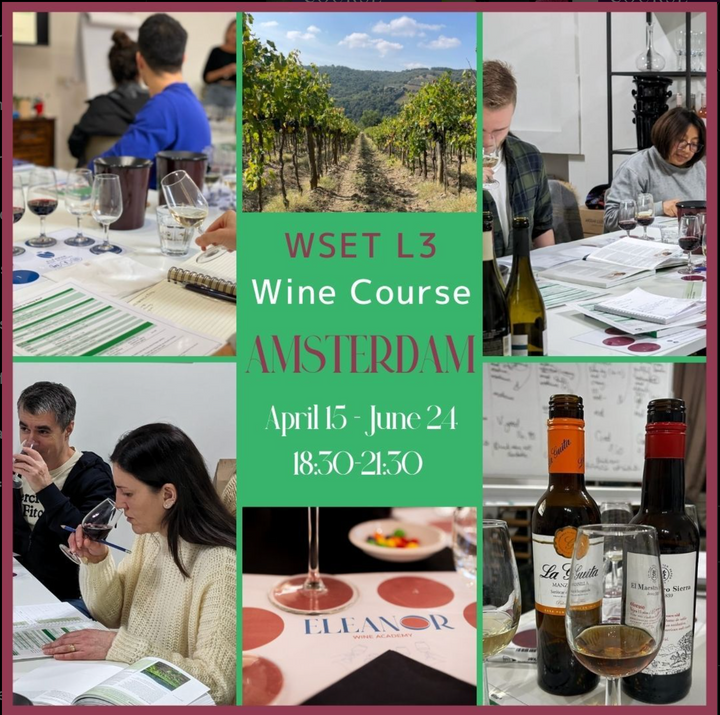 WSET 3 in English starts in Amsterdam