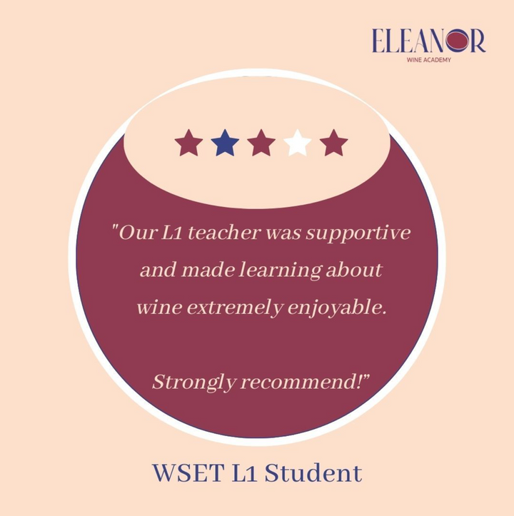 WSET 1 Student Review