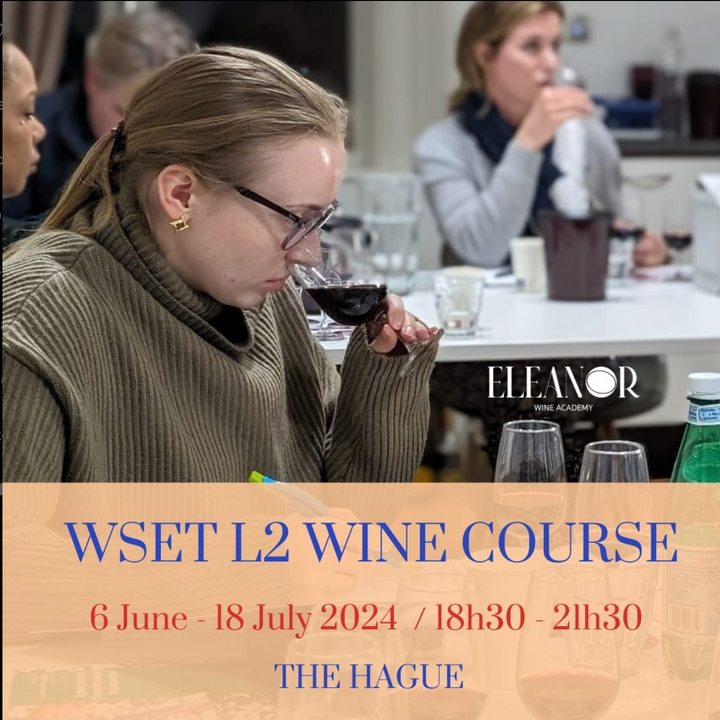 Wine Course Den Haag
