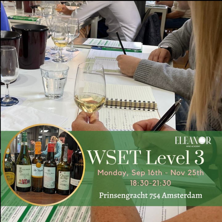 WSET 3 in Amsterdam