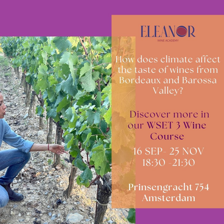 WSET 3 Amsterdam Register Today