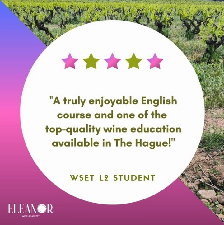 Hear What Our Students Say: Join the Premier WSET Level 2 Course in The Hague This September!