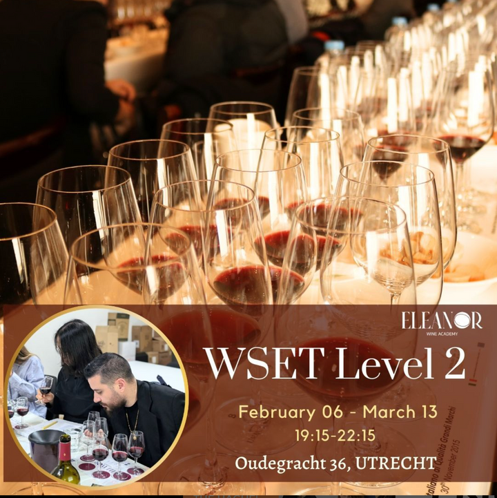 🍷 Elevate Your Wine Game: Join the WSET Level 2 Course in Utrecht! 🥂