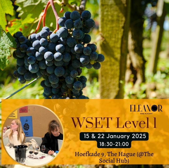 wset the hague