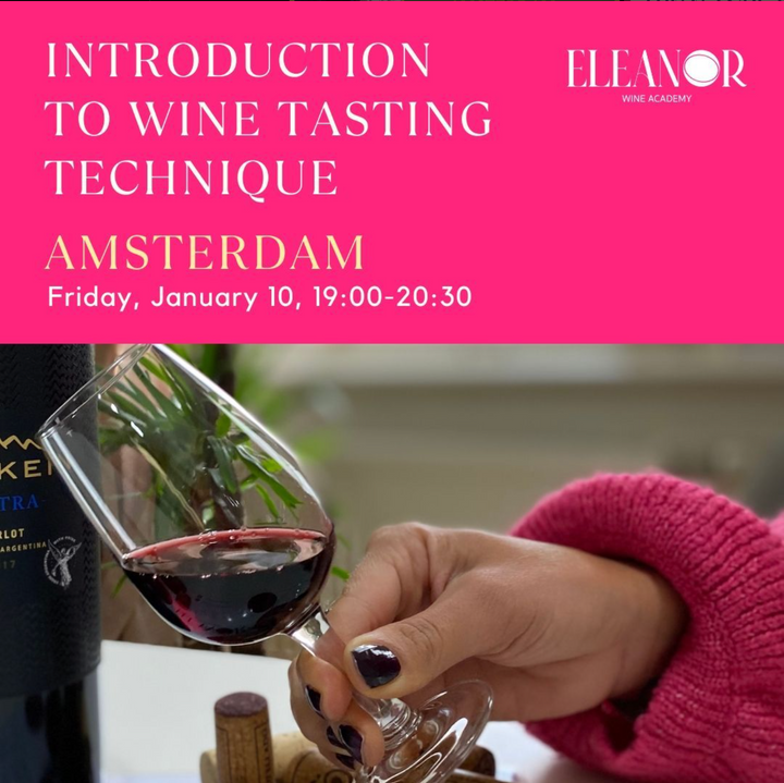 best wine tasting in amsterdam