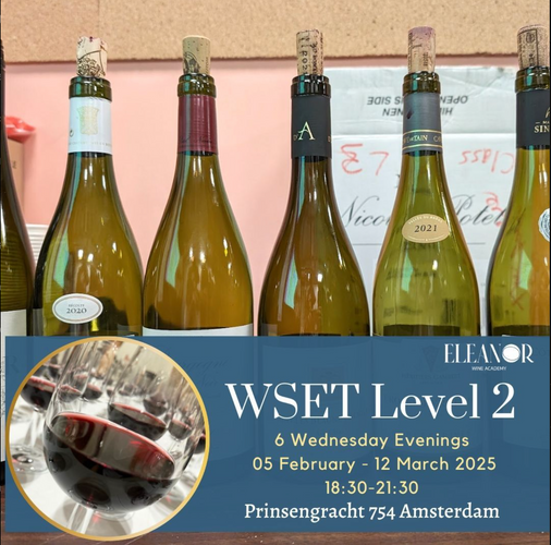 wine course wset amsterdam