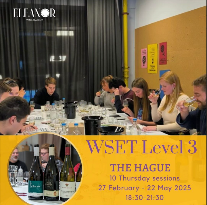 wset the hague