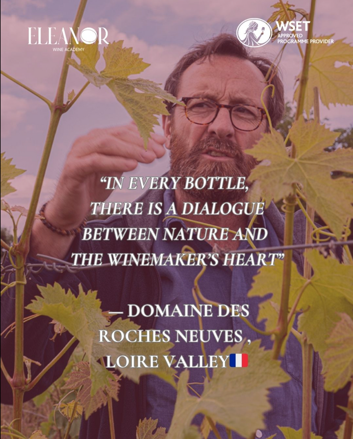 Wine glass and vineyard at sunset – promoting WSET Level 2 summer wine course in Amsterdam at Eleanor Wine Academy