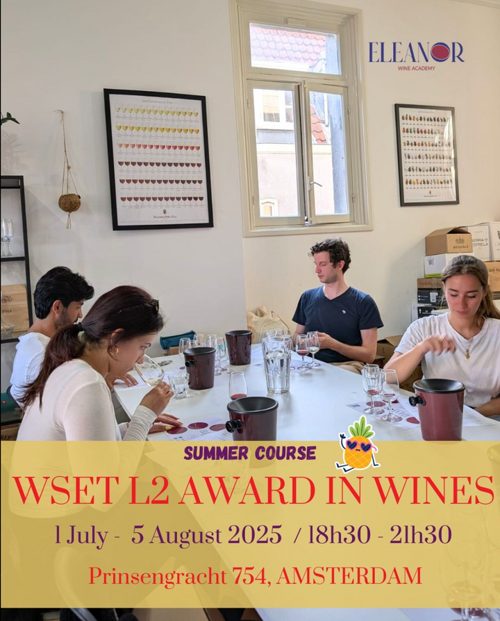 Summer wine class in session at Eleanor Wine Academy, overlooking the Amsterdam canals – WSET Level 2 Course promotion