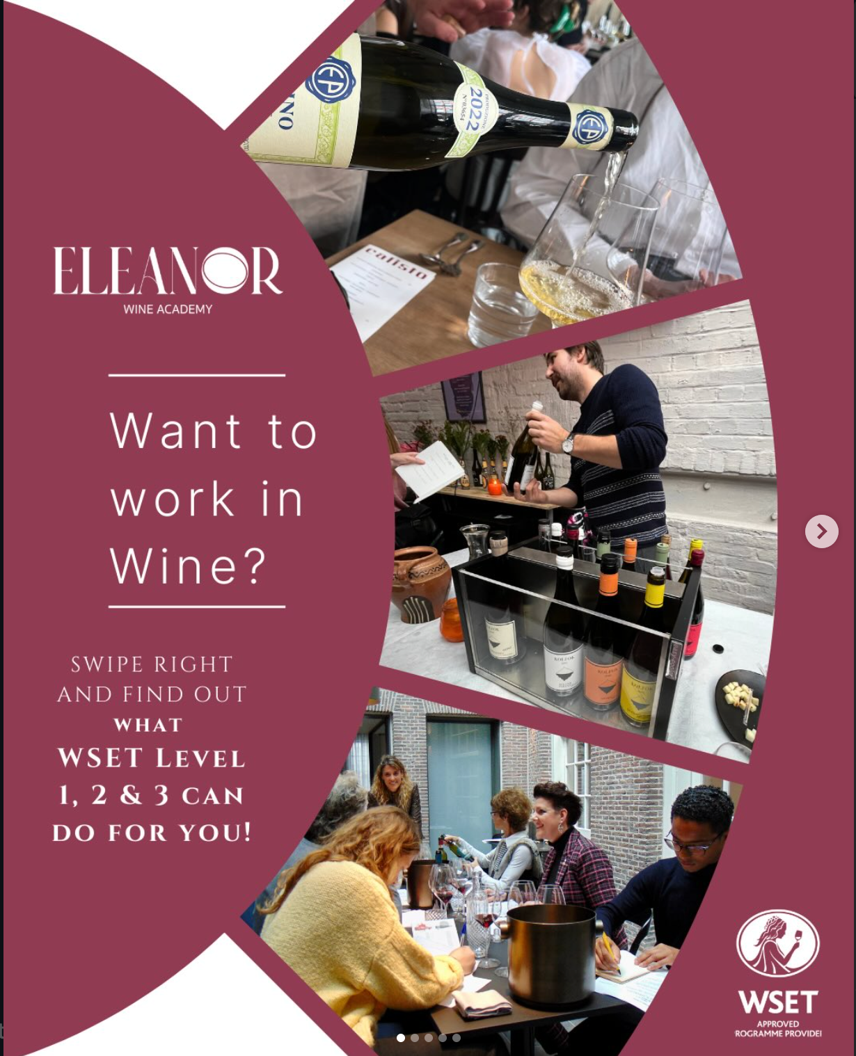 WSET Level 1, 2 & 3 Explained | Eleanor Wine Academy