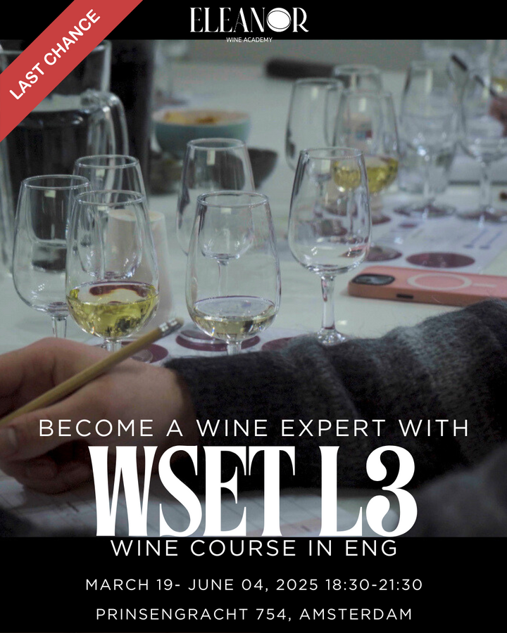 A wine student carefully swirling a glass of red wine during a WSET Level 3 class at Eleanor Wine Academy in Amsterdam. The setting is an intimate classroom with wine bottles, tasting notes, and expert instructors guiding the session