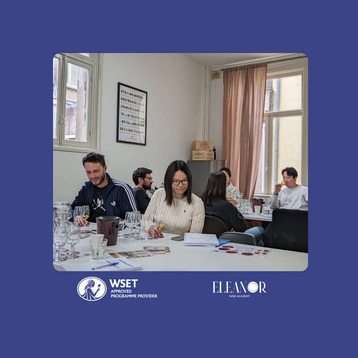 Join Eleanor Wine Academy, a leading Amsterdam Wine Academy, for a top-tier WSET Amsterdam wine course. Our expert-led wine academy offers globally recognized WSET certifications, perfect for wine enthusiasts and professionals looking to advance their knowledge in Amsterdam.