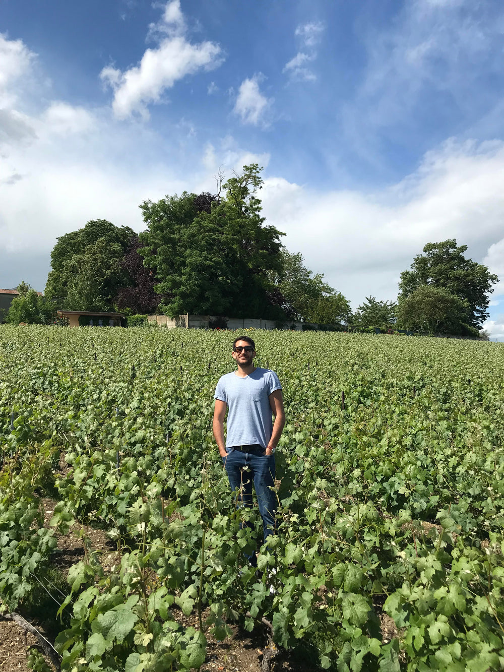 Federico Trani, WSET Diploma wine educator at Eleanor Wine Academy Amsterdam