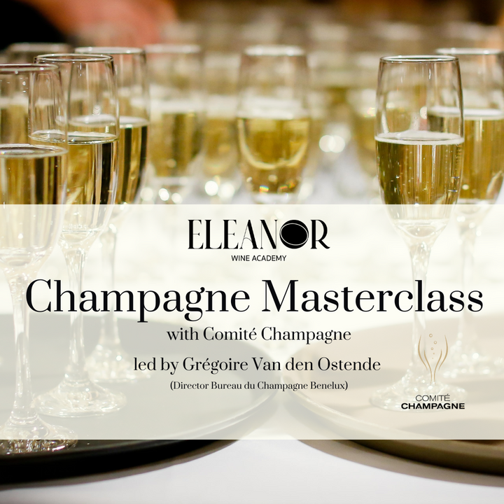 Champagne Masterclass in Amsterdam hosted by Eleanor Wine Academy with Comité Champagne, featuring Grégoire Van den Ostende and premium Champagne tasting.