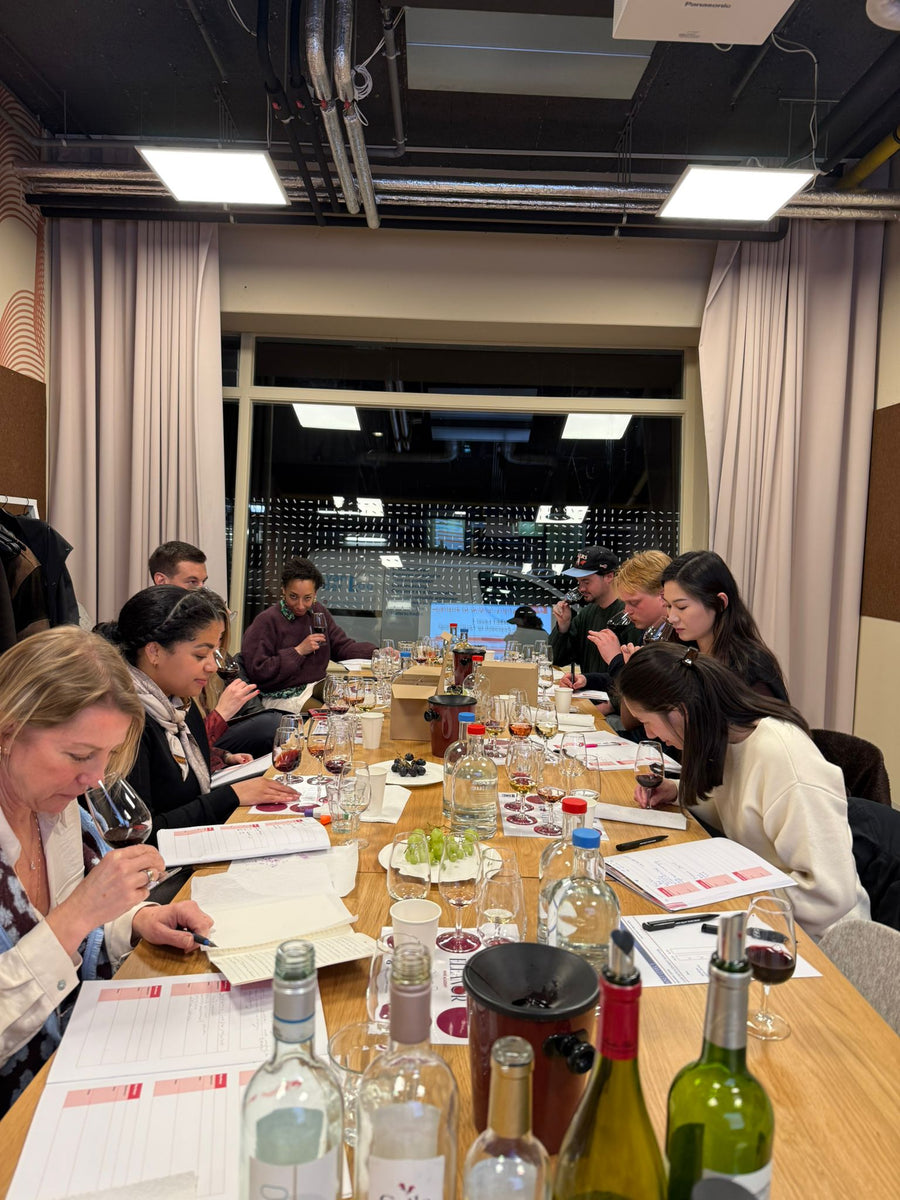 WSET wine students completing a guided tasting exercise in The Hague