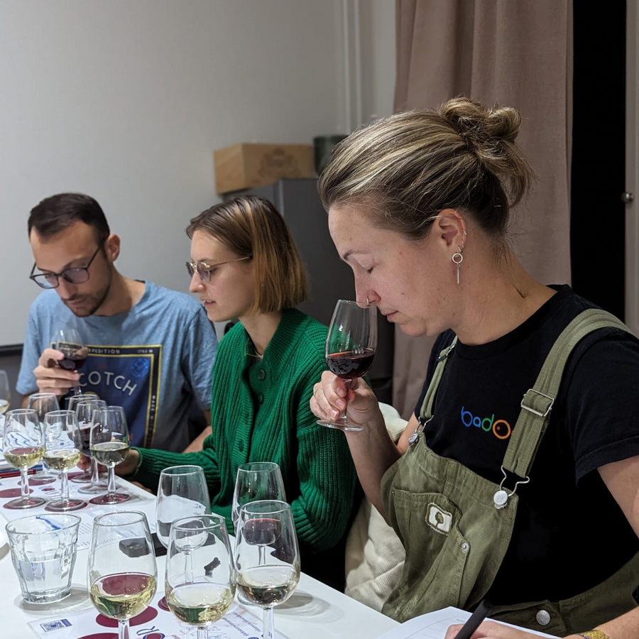 Introduction to Wine Tasting Technique