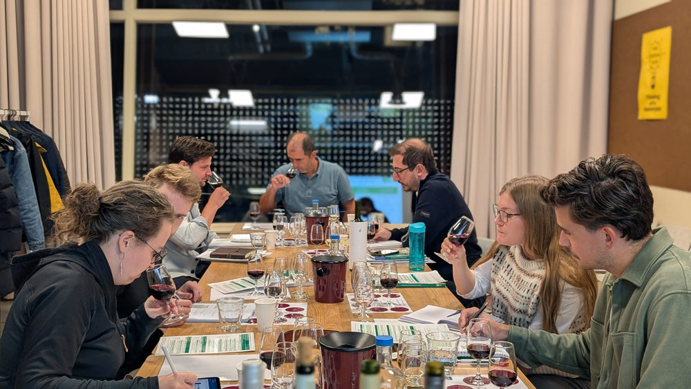 Students learning about wine through guided tasting during a WSET class