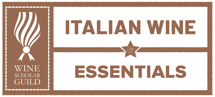 Italian Wine Scholar-Essentials English Wine Course in Amsterdam